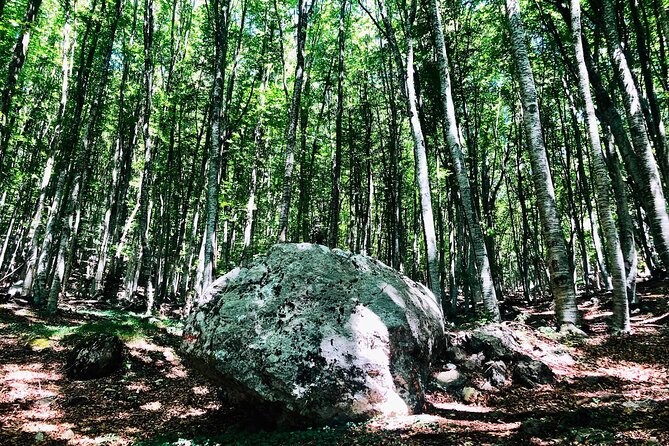 Full Day Tirana City & Dajti National Park, Private Tour - Additional Details