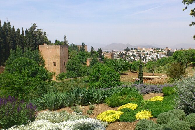 Full Day to Alhambra Palace and Generalife Gardens Direct From Malaga - Traveler Feedback and Considerations