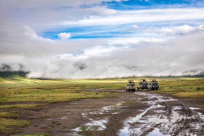 Full Day To Arusha National Park - What to Bring