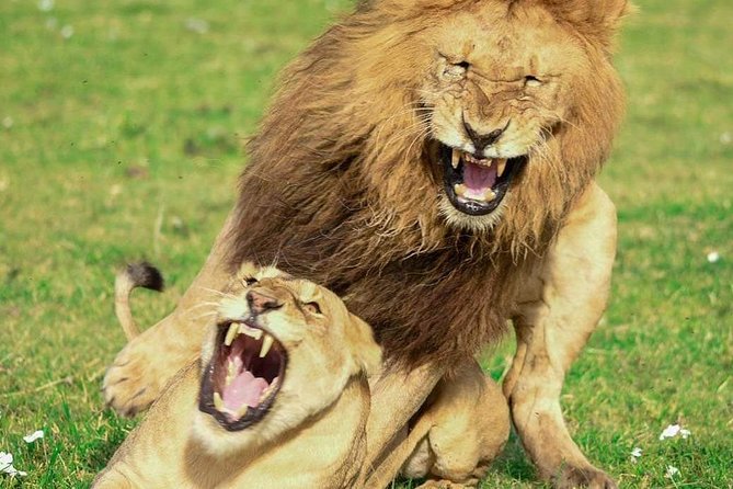 Full Day To Arusha National Park - About Arusha National Park