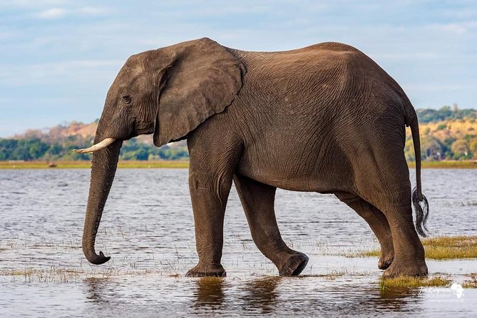 Full Day To Arusha National Park - Recap