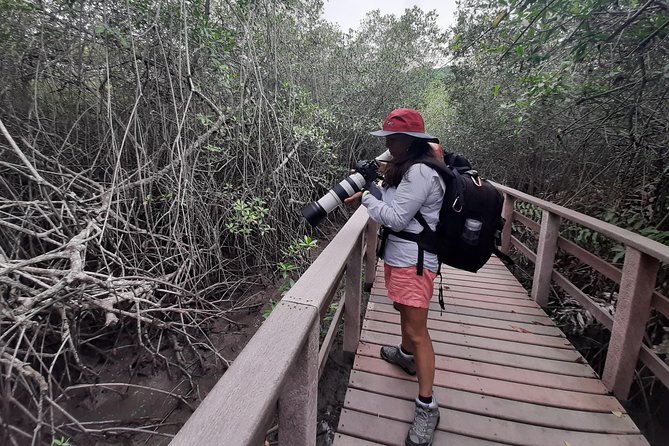 Full Day to Ecological Reserve Churute Mangrove - Key Points