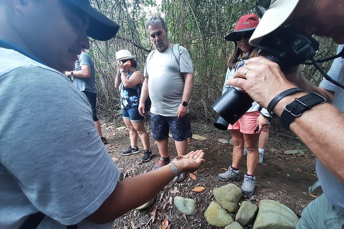 Full Day to Ecological Reserve Churute Mangrove and Cocoa Farm Visit - Key Points