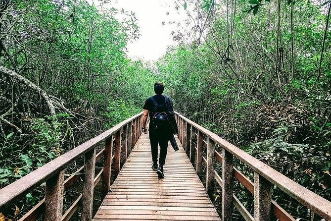 Full Day to Ecological Reserve Churute Mangrove and Cocoa Farm Visit - Tour Details