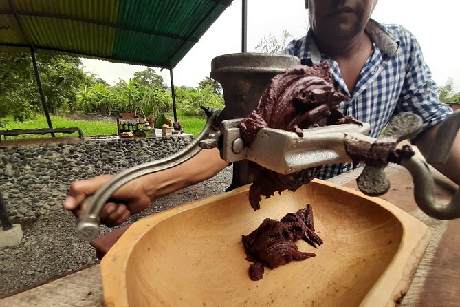 Full Day to Ecological Reserve Churute Mangrove and Cocoa Farm Visit - Included Services