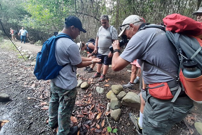 Full Day to Ecological Reserve Churute Mangrove and Cocoa Farm Visit - Observing Flora and Fauna