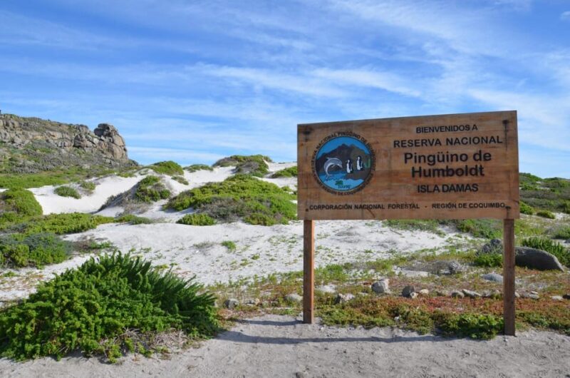Full Day to Isla Damas & Humboldt Penguin National Reserve - Booking Information