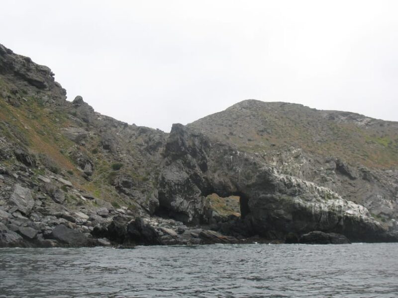Full Day to Isla Damas & Humboldt Penguin National Reserve - What to Expect