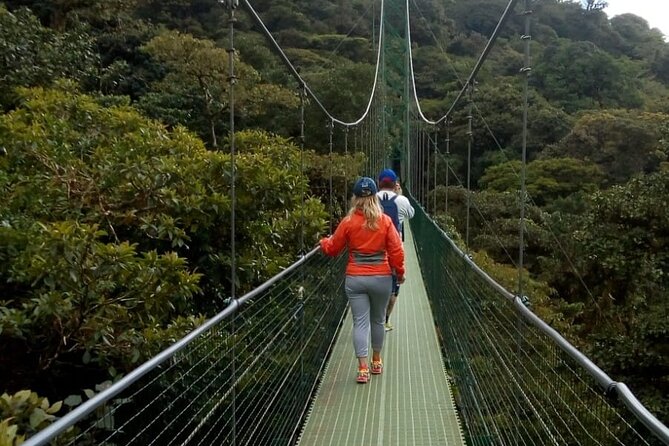 Full Day to Monteverde From San Jose With Canopy and Reptil Amphibians Watching - Spotting the Quetzal