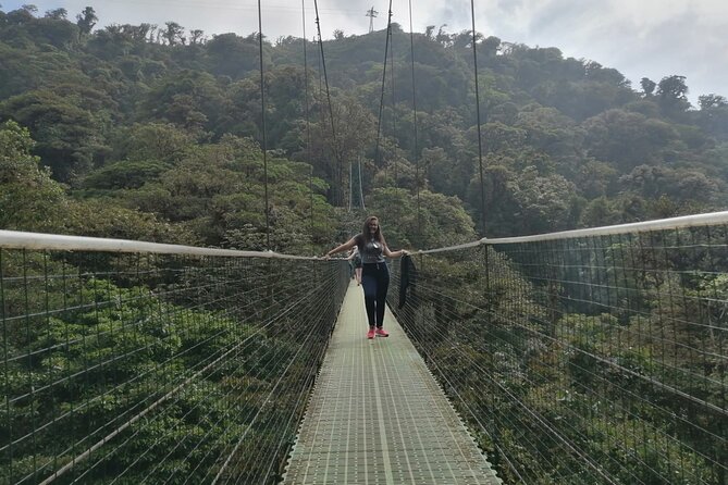 Full Day to Monteverde From San Jose With Canopy and Reptil Amphibians Watching - Optional Activities