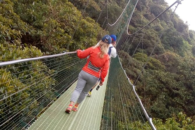 Full Day to Monteverde From San Jose With Canopy and Reptil Amphibians Watching - Pricing and Cancellation