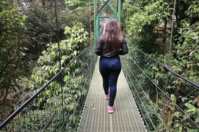 Full Day to Monteverde From San Jose With Canopy and Reptil Amphibians Watching - Traveler Feedback