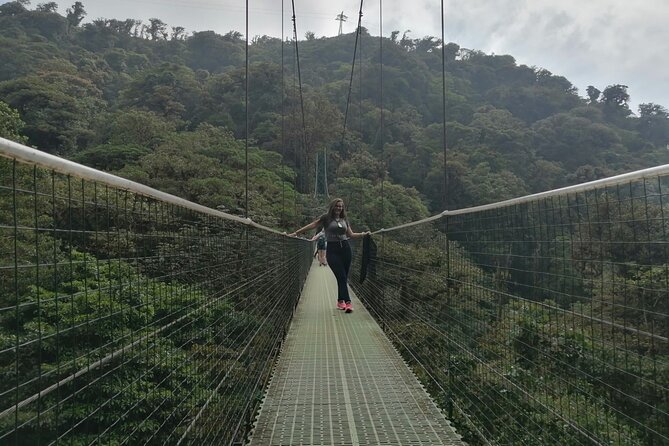 Full Day to Monteverde From San Jose With Canopy and Reptil Amphibians Watching - Key Points