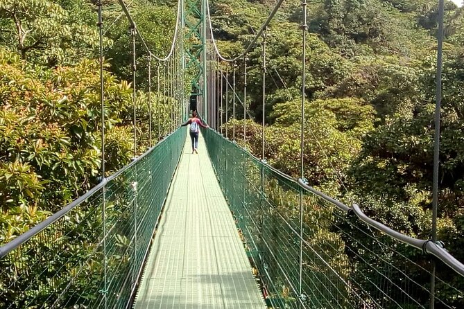 Full Day to Monteverde From San Jose With Canopy and Reptil Amphibians Watching - Arriving in Monteverde