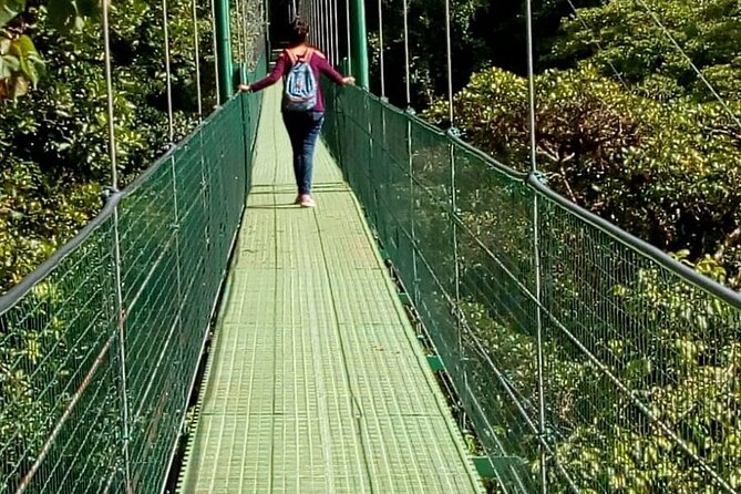 Full Day to Monteverde From San Jose With Canopy and Reptil Amphibians Watching - Pricing and Cancellation