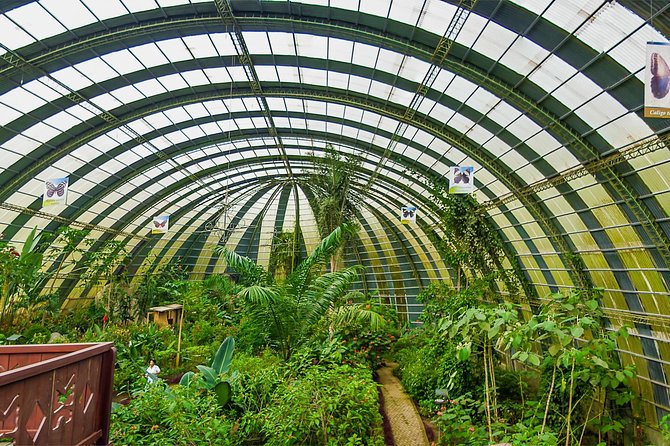 Full Day to Selvatura Monteverde Cloud Forest From Guanacaste - Tour Overview and Details
