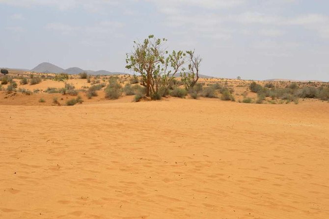 Full Day to Small Desert From Agadir - Booking Information