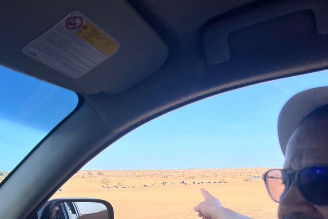 Full Day to Small Desert From Agadir - What to Expect