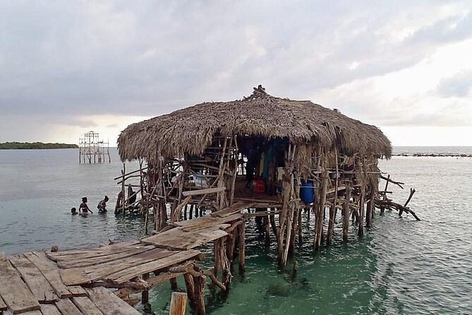 Full Day to YS Falls, Border & Floyds Pelican Bar - Accessibility and Participation