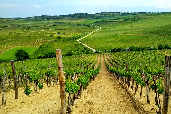 Full-Day Tokaj UNESCO World Heritage Site Private Wine Tour - Visiting Tokajs Historical Wineries