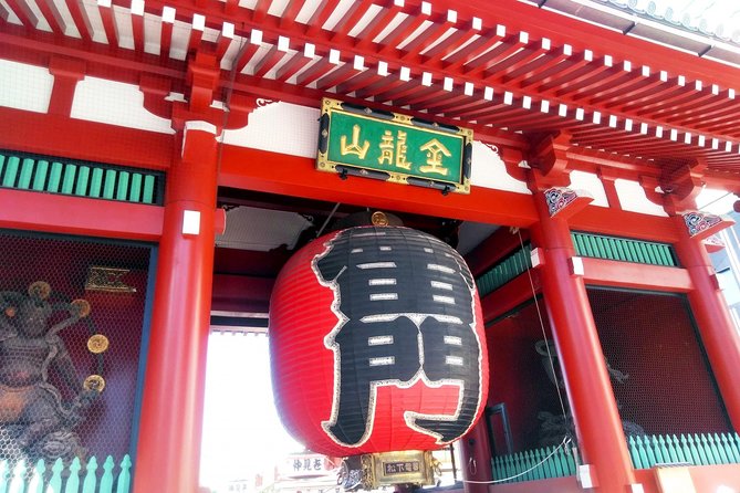 Full Day Tokyo Chartered Taxi Tour From Narita - Customizable Tour Itinerary