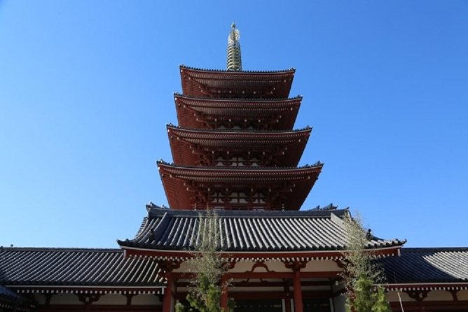 Full Day Tokyo Chartered Taxi Tour From Narita - Professional Guide and Private Transportation