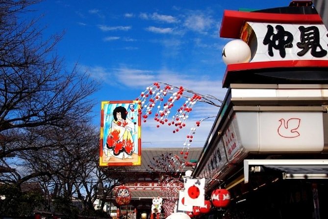 Full Day Tokyo Chartered Taxi Tour From Narita - Highlights of Tokyo Sights