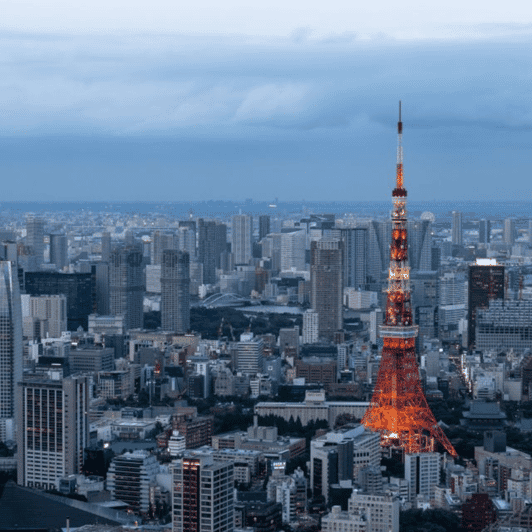 Full Day Tokyo Customize Unforgettable Private Tour 23 Ward - Meiji Shrine Stroll
