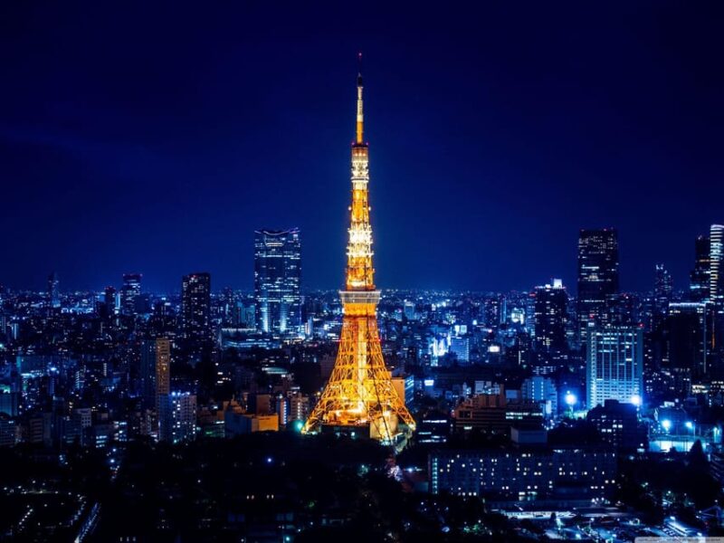 Full Day Tokyo Customize Unforgettable Private Tour - A Personalized Journey