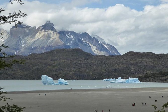 Full Day Torres Del Paine, From Punta Arenas (Private Tours) - Inclusions and Pricing