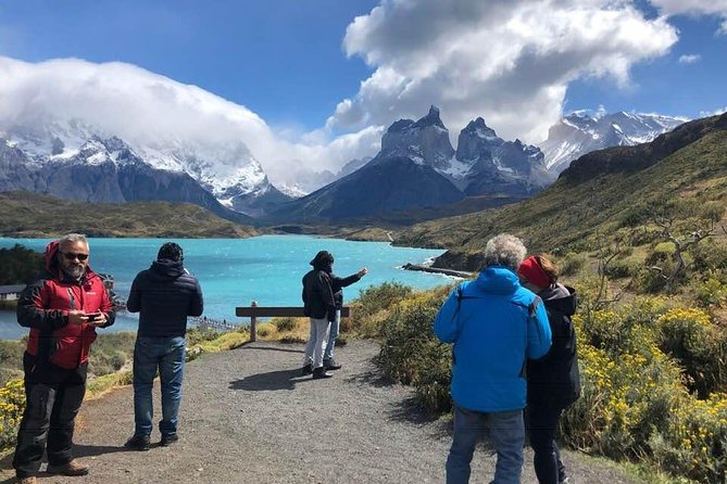 Full Day Torres Del Paine, From Punta Arenas (Private Tours) - Scenic Lookouts and Trekking