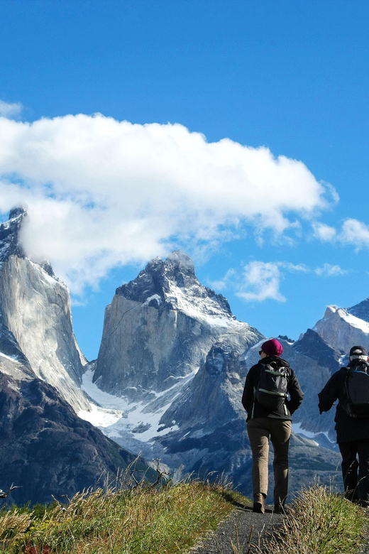 Full-Day Torres Del Paine National Park From El Calafate - Itinerary Highlights
