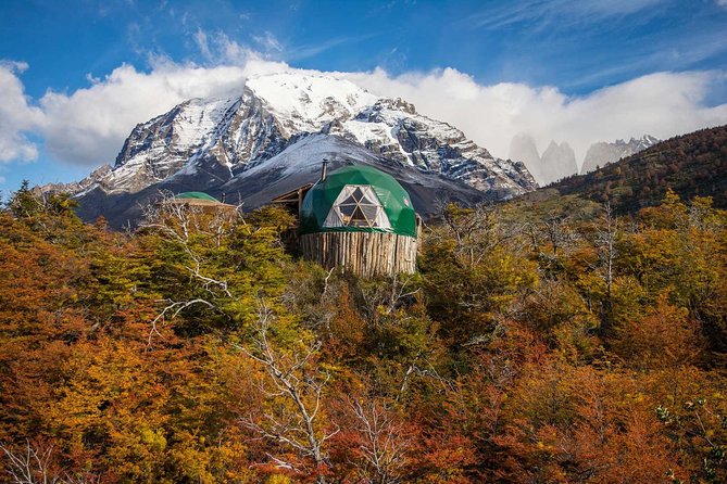 Full Day Torres Del Paine Shared Tour From Puerto Natales Only - Health and Accessibility