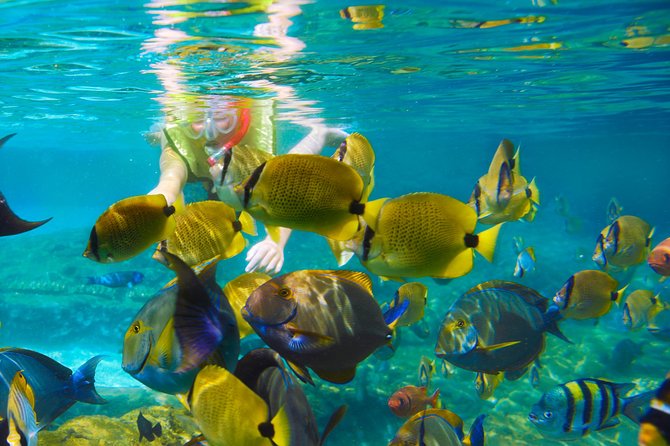 Full-Day Tour 4x4 ATV, Water Cave, and Snorkeling Cruise - Combining Activities Over Two Days