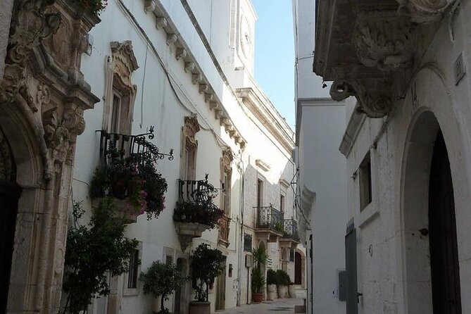 Full-Day Tour Alberobello & Locorotondo & Polignano a Mare & Bari - Accessibility