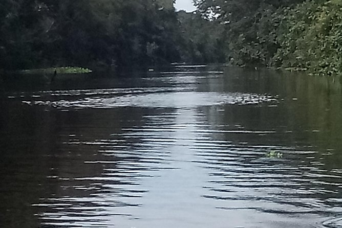Full Day Tour Amazon River 2020 - Guest Reviews