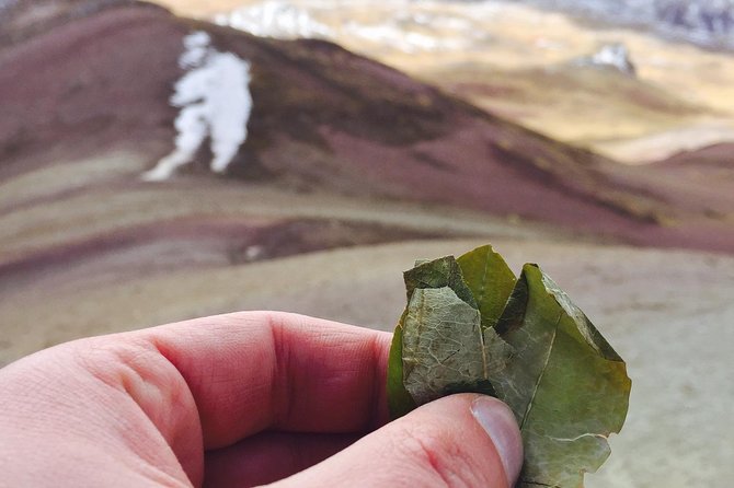 Full-Day Tour and Hike to Rainbow Mountain From Cusco, Peru - Positive Reviews and Feedback