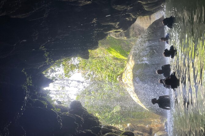 Full-Day Tour: Arenales Caves, Waterfall, River & Hidden Spring - Booking and Pricing