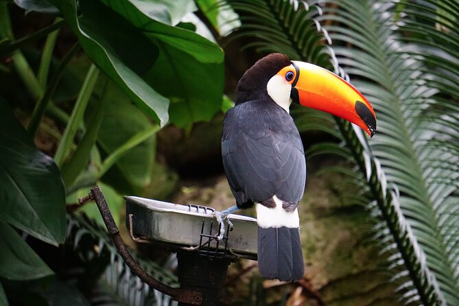 Full Day Tour Around Minca (From Tayrona Park) - Planning Your Minca Tour Logistics