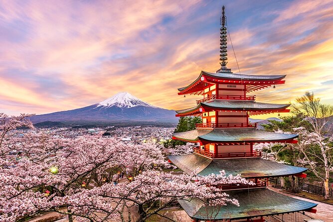 Full Day Tour at Mt. Fuji, Onsen, Lake Kawaguchi and Yamanaka - Health and Accessibility Notes