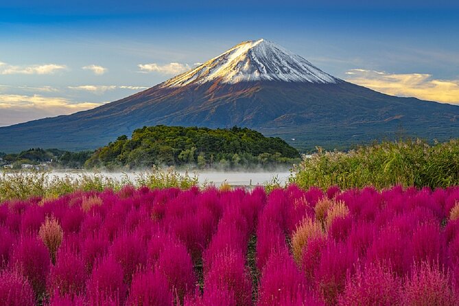 Full Day Tour at Mt. Fuji, Onsen, Lake Kawaguchi and Yamanaka - Travel Advisory and Recommendations
