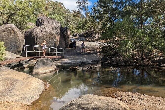Full-day Tour at the Atherton Tablelands with Food Tasting - The Curtain Fig Tree & Bromfield Swamp