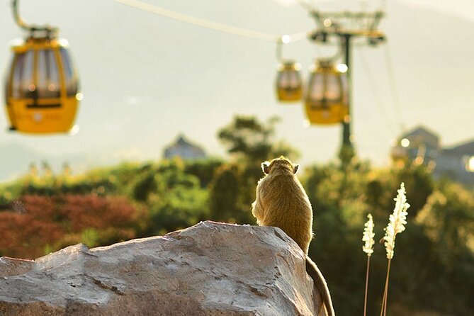 Full-Day Tour Ba Na Hills Da Nang - Expectations
