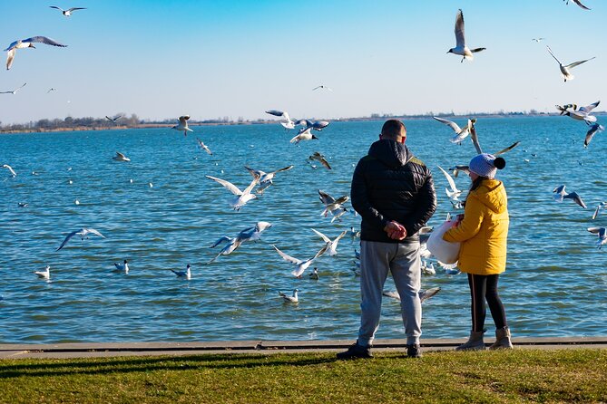 Full Day Tour Belgrade: Subotica and Zemun Wonderful City Tour - Inclusions Highlights