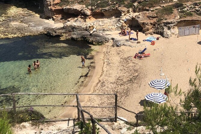 Full Day Tour by Car and Walking Among the Apulian Beauties - Highlights of the Tour