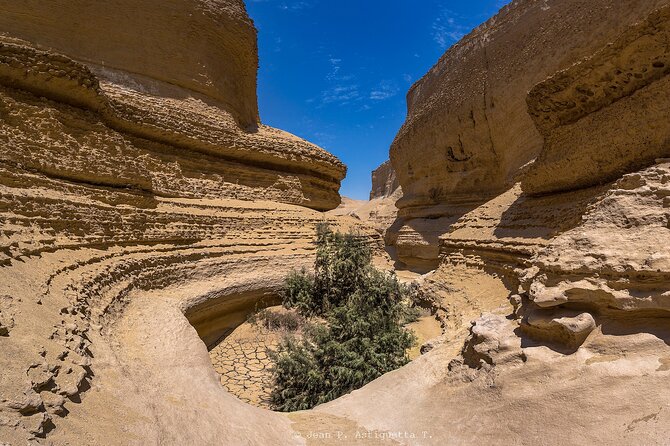 Full Day Tour Canyon of the Lost in Ica Desert - Reviews and Feedback