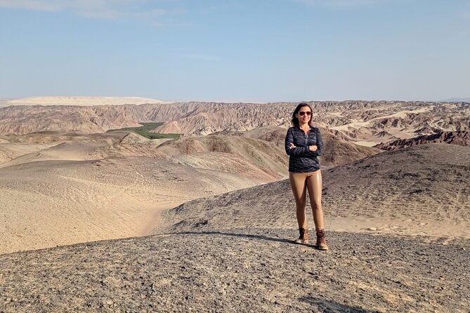 Full Day Tour Canyon of the Lost in Ica Desert - Desert Landscape and Wildlife
