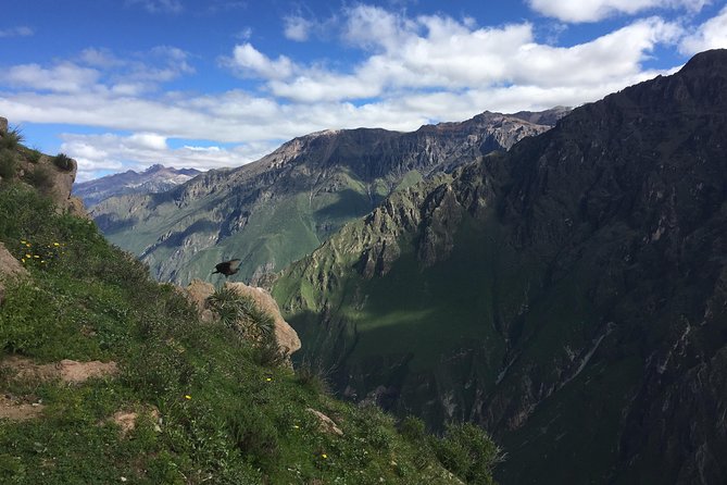 Full Day Tour / Colca Canyon - Accessibility and Additional Information