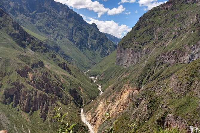 Full Day Tour / Colca Canyon - Customer Reviews and Feedback
