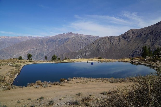 Full Day Tour / Colca Canyon - Early-morning Start and Condor Sightings